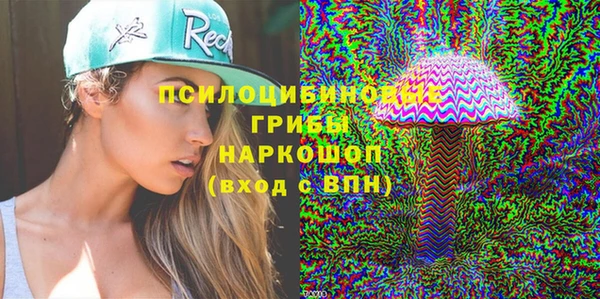 PSILOCYBIN Наволоки