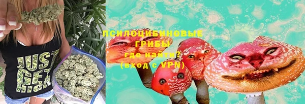 твердый Надым