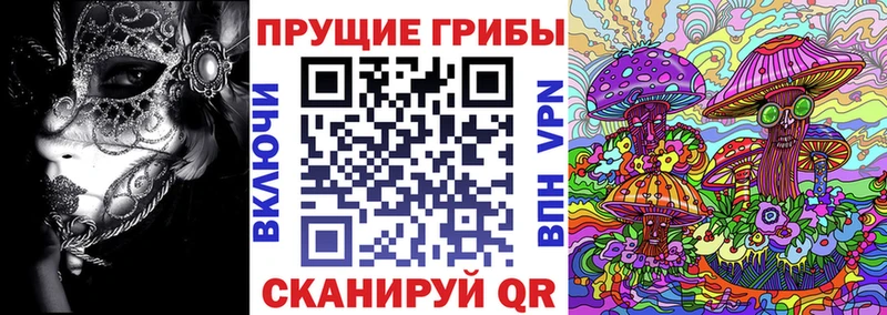 Галлюциногенные грибы Cubensis  Краснообск 